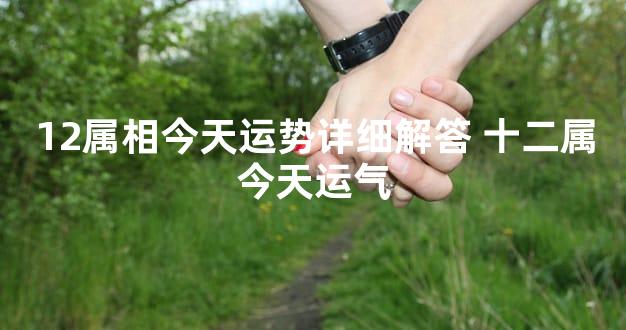 12属相今天运势详细解答 十二属今天运气